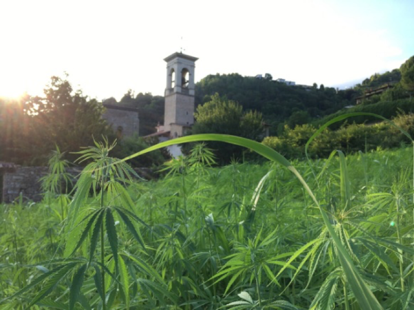 Linificio e Canapificio Nazionale will provide flax and hemp fibers for SSUCHY project