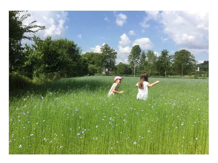 Linificio e Canapificio Nazionale will provide flax and hemp fibers for SSUCHY project