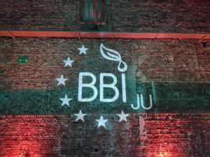BBI image 2