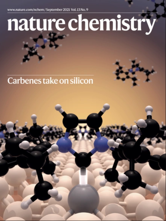 Natural chemistry Natural chemistry
